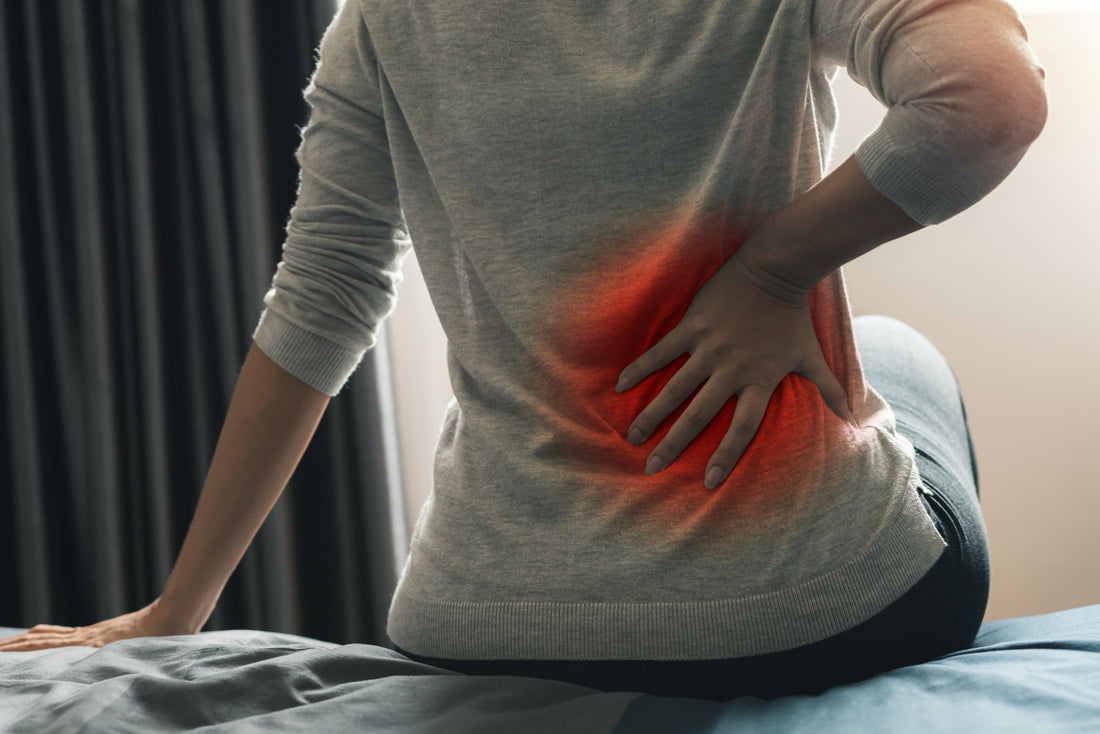 Person sitting on bed holding lower back with red pain highlight, illustrating lower back pain relief needs addressed by FEATOL back braces